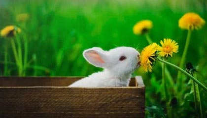 爱游戏igame-利物浦横扫皇马，成功晋级欧冠半决赛！，利物浦横扫皇马,成功晋级欧冠半决赛视频